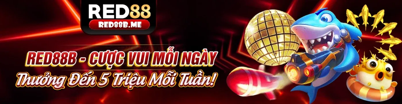 Hình ảnh chào mừng Nova88 Link dành cho người mới bắt đầu